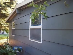 Residential Painting